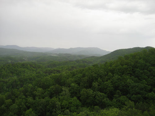 Pictures 009