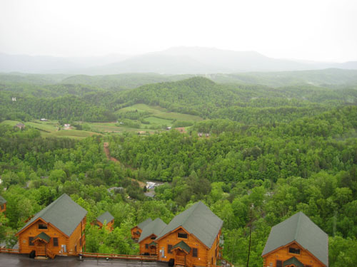 Pictures 010