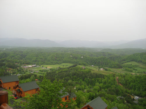 Pictures 011