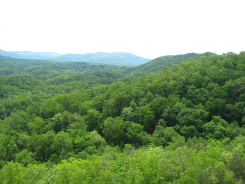 Pictures 026