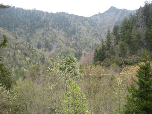 Pictures 038