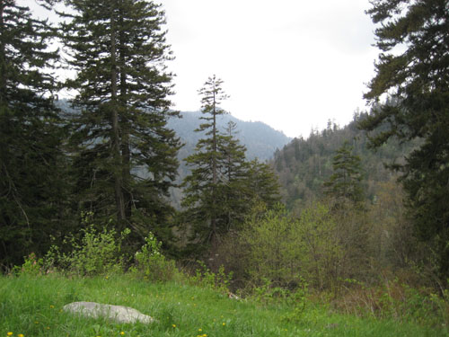 Pictures 040