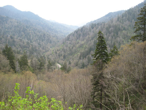 Pictures 043