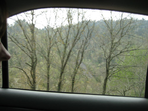 Pictures 044
