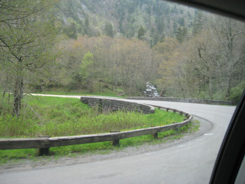 Pictures 046