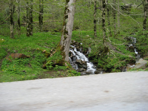 Pictures 047