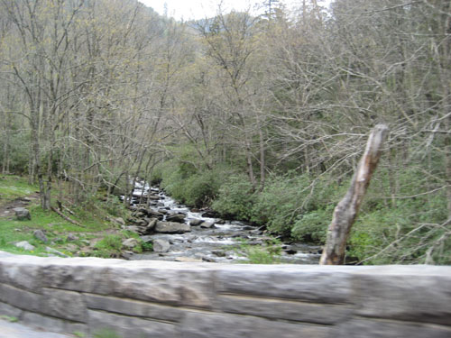 Pictures 048