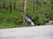 Pictures 047
