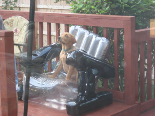 Pictures 242