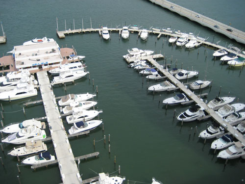 Picture 016