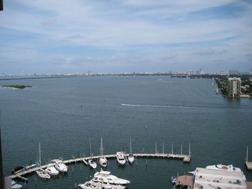 Picture 017