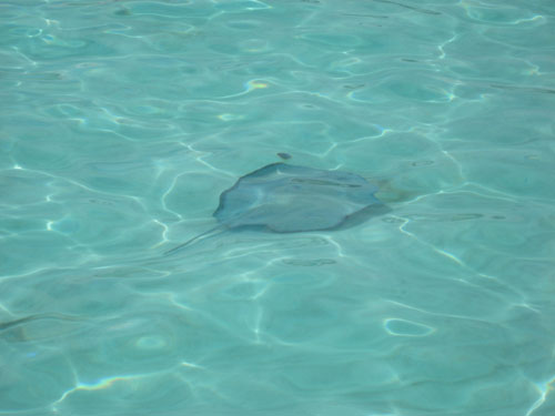 Picture 317