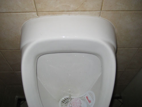 Picture 389
