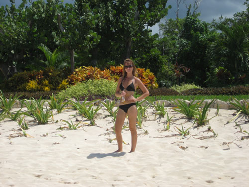 Picture 423