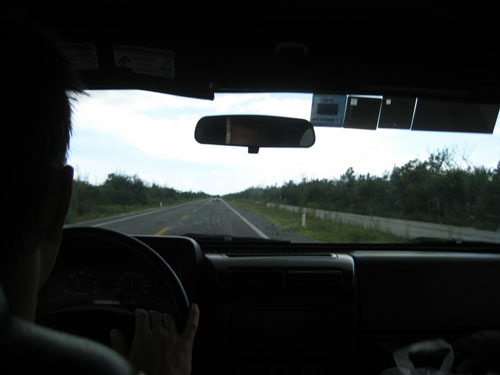 Picture 428