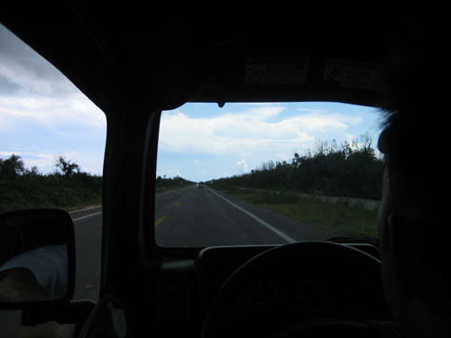 Picture 429
