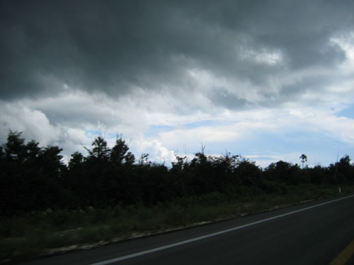 Picture 430