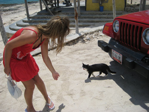 Picture 435
