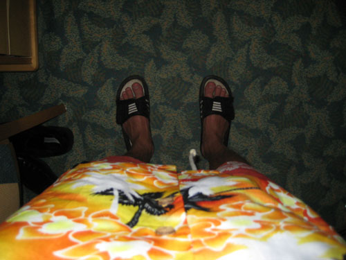 Picture 478
